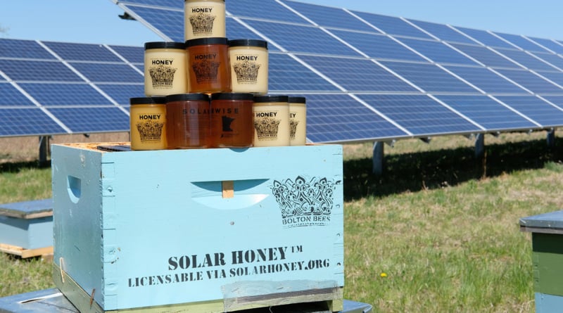 Solar Farm Honey 1440