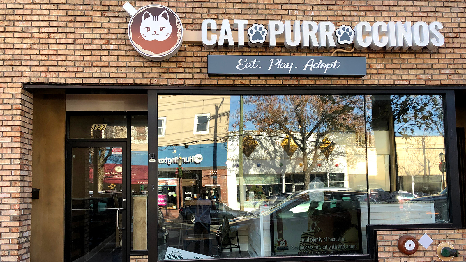  Cat  cafe  opening in Huntington Village  The Long  Island  Times