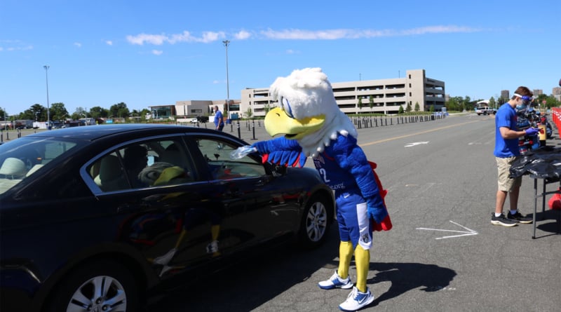 Dale The Eagle Masks