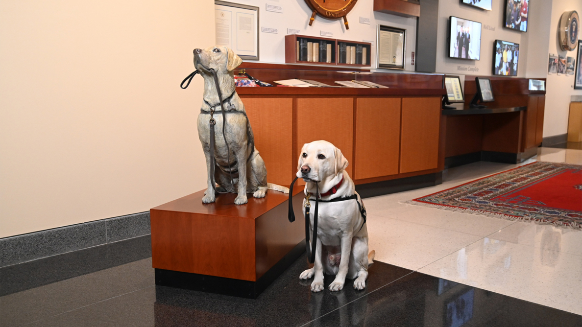 Presidential service dog Sully honored with statue • The Long Island Times(02)