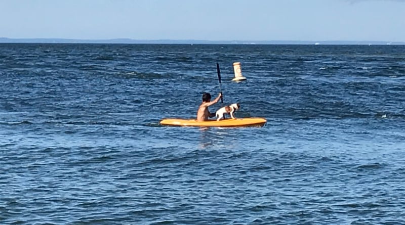 Long Island Sound Kayak