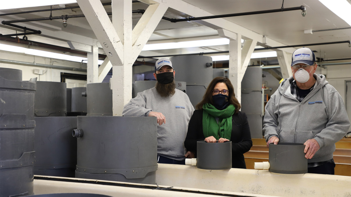 Oyster Bay shellfish initiative gets boost from Bayville hatchery • The