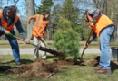 PSEG Long Island plants trees for Arbor Day