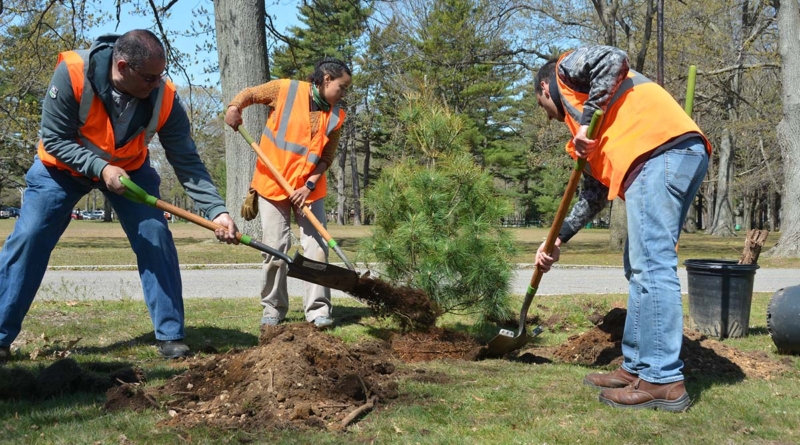 Arbor Day 2022 Pseg Li