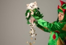 Piff the Magic Dragon coming to Patchogue Theatre