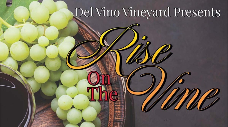 Rise On The Vine