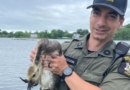 Baby goose rescued in Babylon’s Argyle Lake