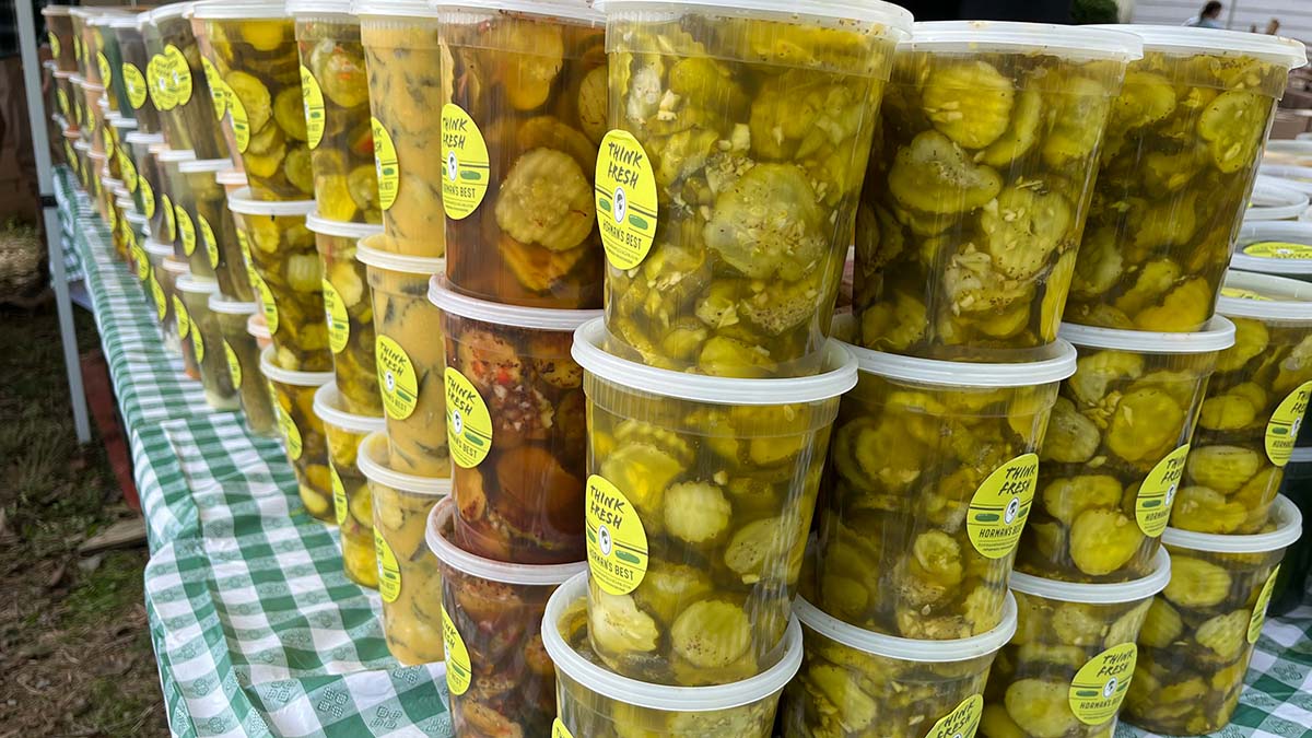 Pickle Festival is anything but sour The Long Island Times