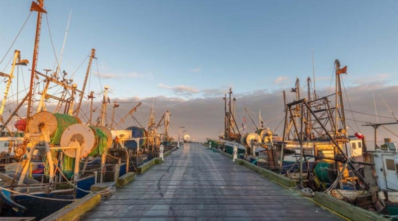 Shinnecock Commercial Fishing Dock