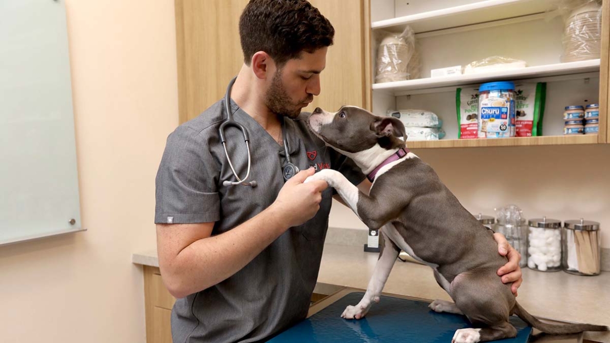 Bond Vet opening in Woodbury • The Long Island Times