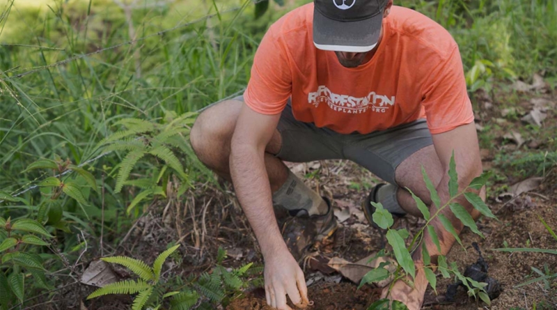 One Tree Planted