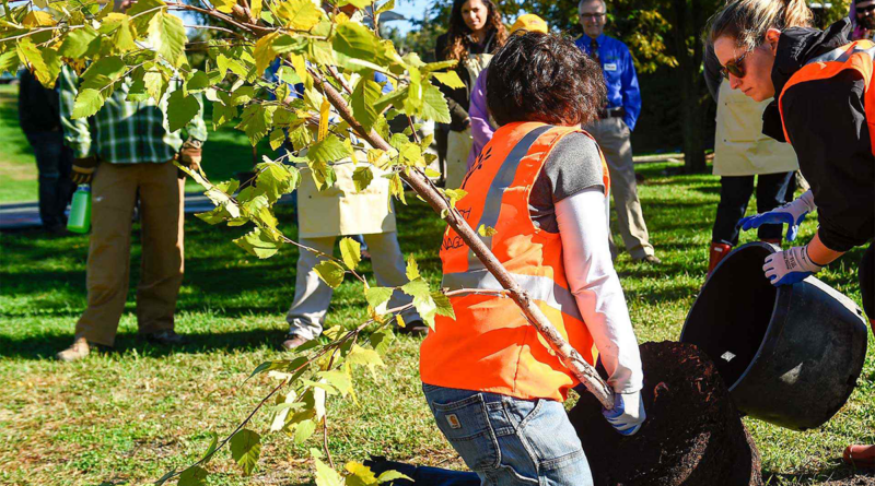 Pseg Arbor Day Trees