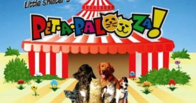 Pet A Palooza
