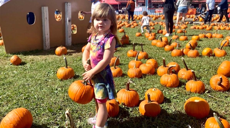 Pumpkin Picking Girl