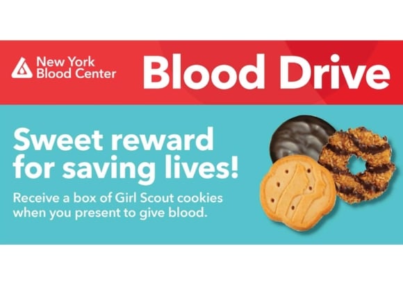 Blood Drive Gs Cookies