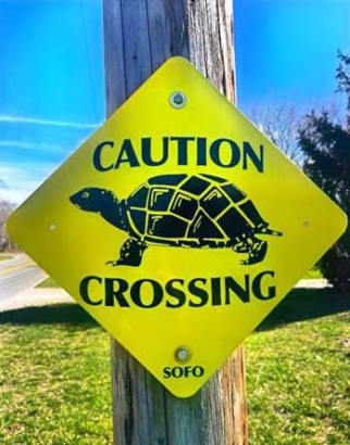 Turtle Crossing Sign