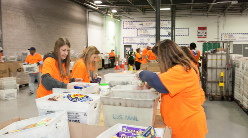 Stamp Out Hunger Donations
