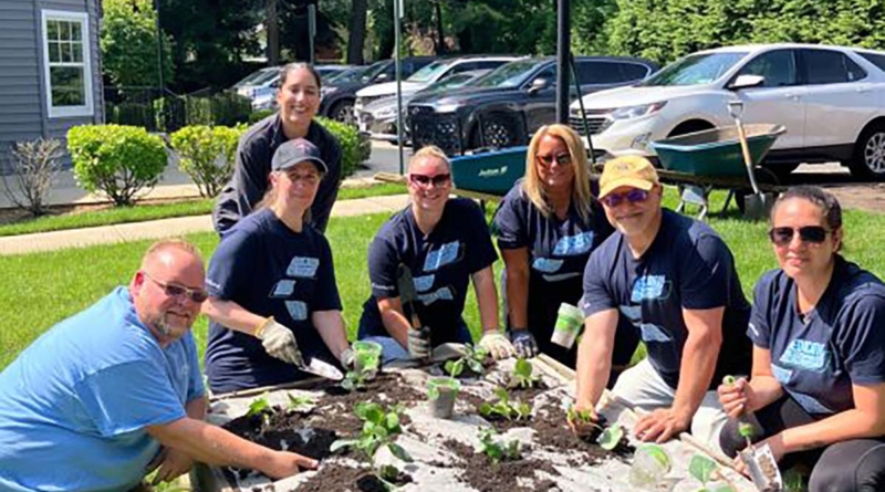 Everbank Options Garden