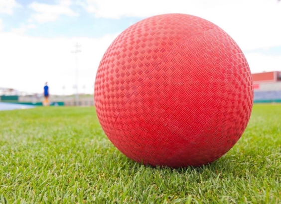 Kickball for a cause to benefit LI Against Domestic Violence Kickball Field