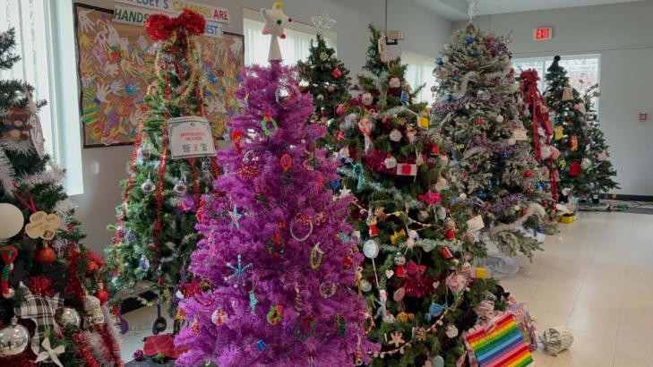 Girl Scouts Christmas Trees