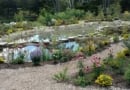 Lirpc Garden