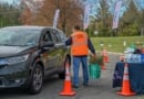 Suffolk Tree Giveaway