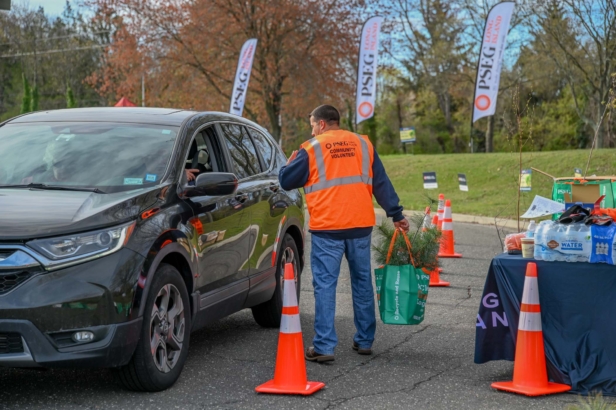 Suffolk Tree Giveaway