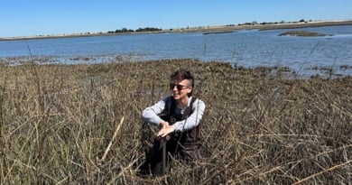 Li Sound Research 2025 Mcclenachan