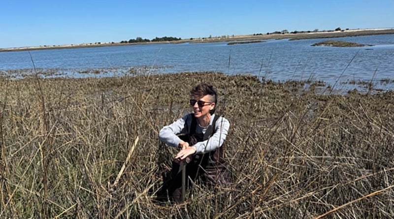 Li Sound Research 2025 Mcclenachan