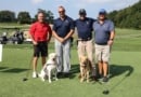 Golf Vet Dogs