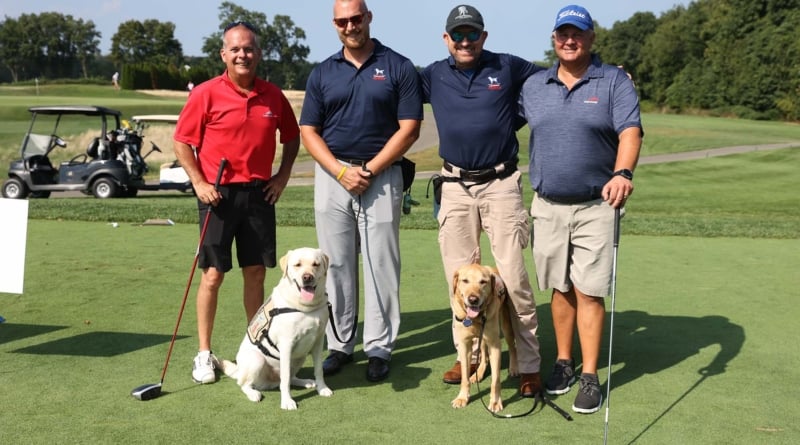 Golf Vet Dogs