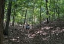 Ingraham Nature Preserve Northport