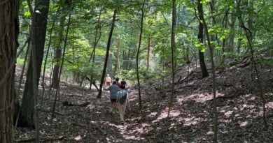 Ingraham Nature Preserve Northport