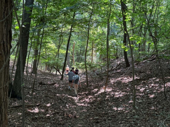 Ingraham Nature Preserve Northport