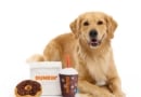 Dunkin Dog Toys