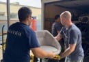 Safavieh Furniture Donation