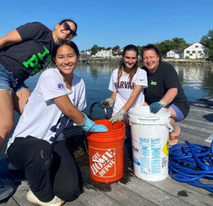 Cce Nassau Oyster Restoration
