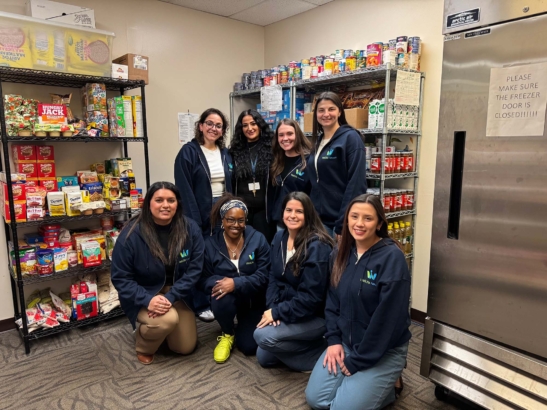 Welllife Food Campaign