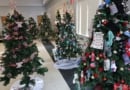 Gssc Tree Decorating