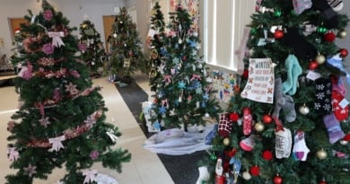 Gssc Tree Decorating