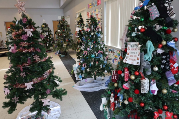 Girl Scouts of Suffolk County donate decorated Christmas trees to local charities Gssc Tree Decorating