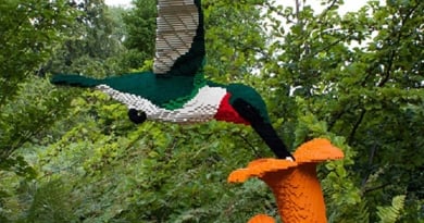 Lego Bird