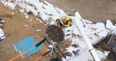 Pseg Oyster Bay Osprey Nest