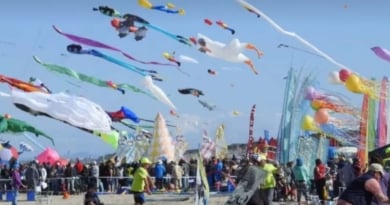 Discover Li Kite Fest