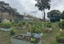 Earth Day Green Acres