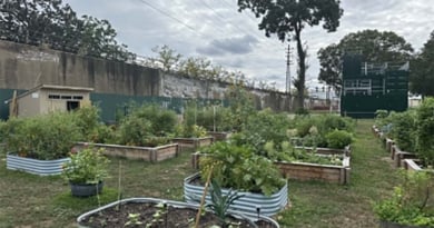 Earth Day Green Acres