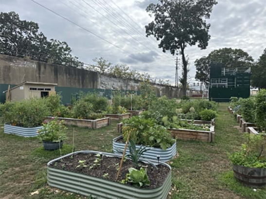 Earth Day Green Acres