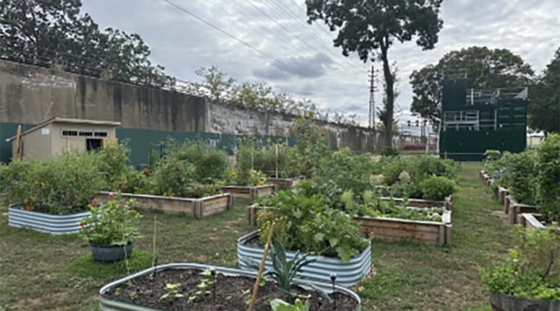 Earth Day Green Acres