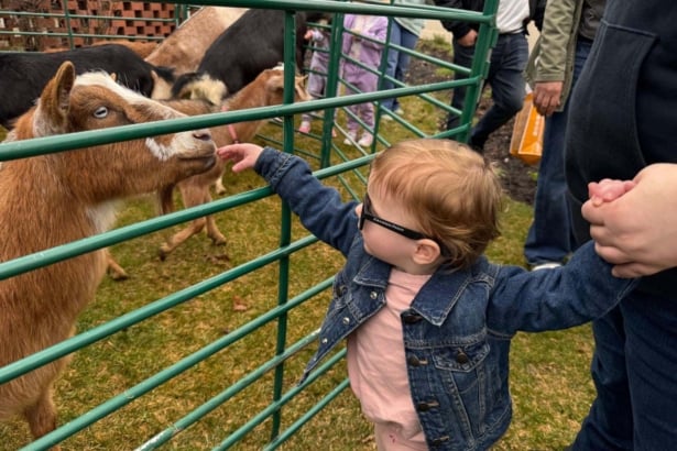 Hilton Long Island to host 15th annual All Kids Fair Kids Fair Zoo