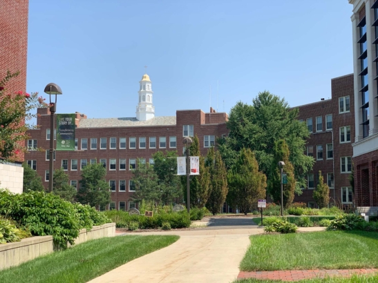 Molloy University 2